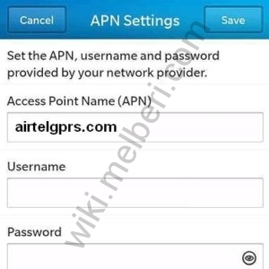 Airtel India Blackberry 10 APN Settings: